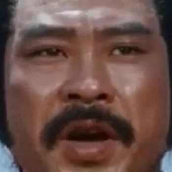 龍飛