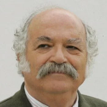Meray Ülgen
