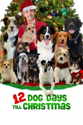 Noel'in 12 Köpeği - 12 Dog Days of Christmas 