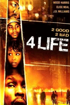 4 Hayat - 4 Life 