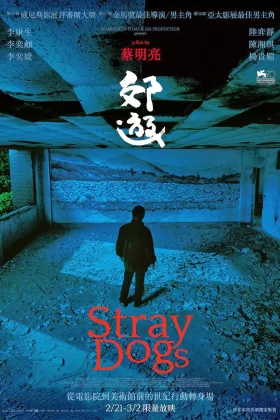 Sessiz Köpekler - Stray Dogs 