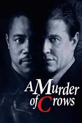 Masum Bir Katil - A Murder Of Crows 