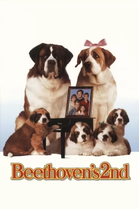 Afacan Köpek Beethoven 2 - Beethoven's 2nd
