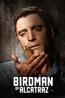 Alkatraz Kuşçusu - Birdman of Alcatraz