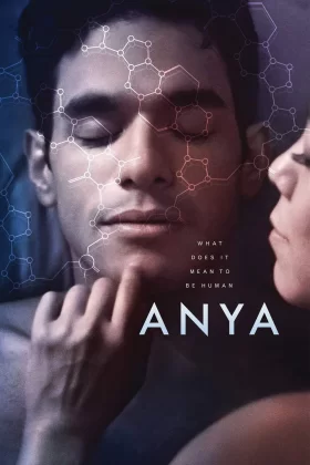 owl-carousel-video-image