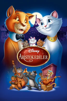 owl-carousel-video-image