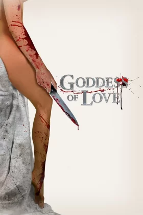 owl-carousel-video-image