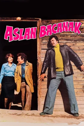 Aslan Bacanak