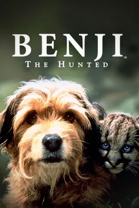 Av Köpeği Benji - Benji the Hunted