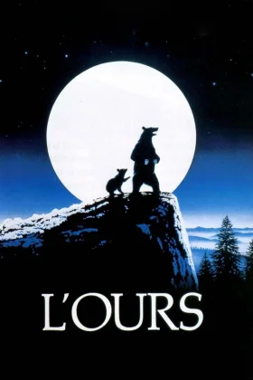 owl-carousel-video-image