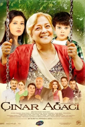 owl-carousel-video-image