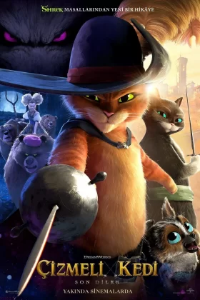 owl-carousel-video-image