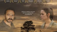 Ceviz Ağacı