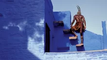 Düşüş - The Fall