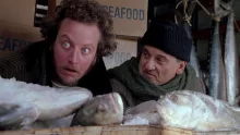 Evde Tek Başına 2 - Home Alone 2: Lost in New York