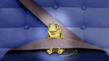 owl-carousel-video-image
