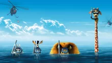 owl-carousel-video-image