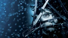 owl-carousel-video-image