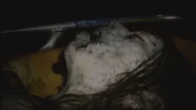 owl-carousel-video-image