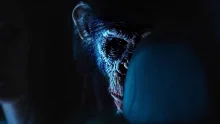 owl-carousel-video-image