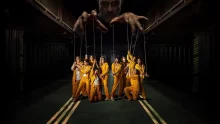 owl-carousel-video-image