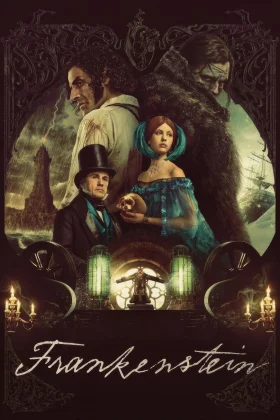 owl-carousel-video-image