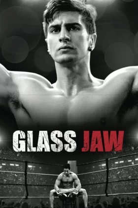 owl-carousel-video-image
