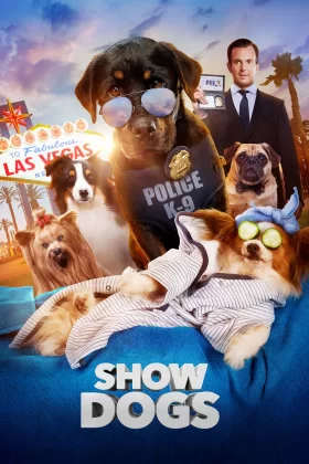 Gösteri Köpekleri - Show Dogs