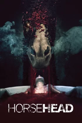 owl-carousel-video-image