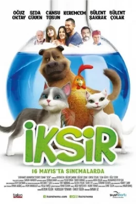 owl-carousel-video-image