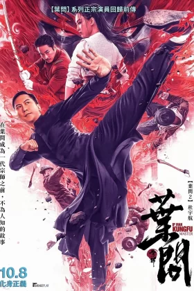Ip Man Kung Fu Master