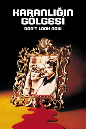 owl-carousel-video-image