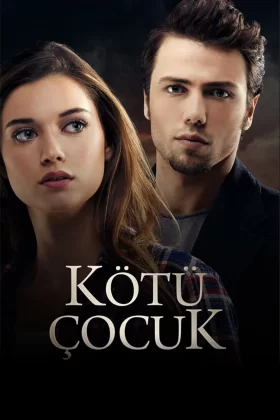 owl-carousel-video-image