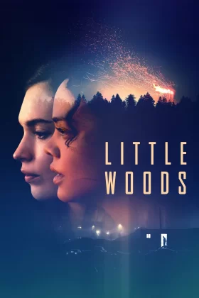 Küçük Orman - Little Woods