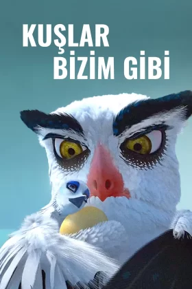 Kuşlar Bizim Gibi - Birds Like Us