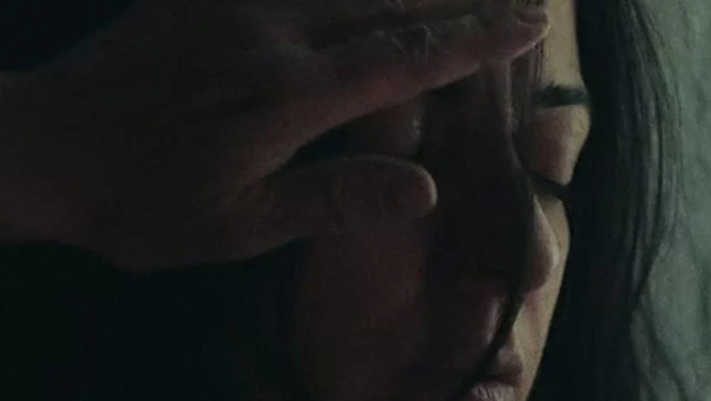Ana Yurdu