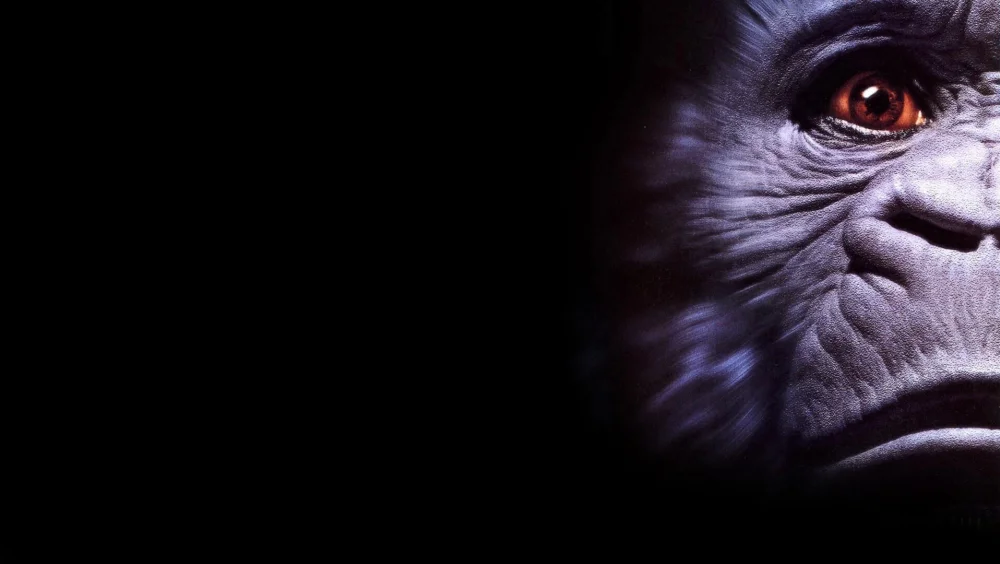 owl-carousel-video-image