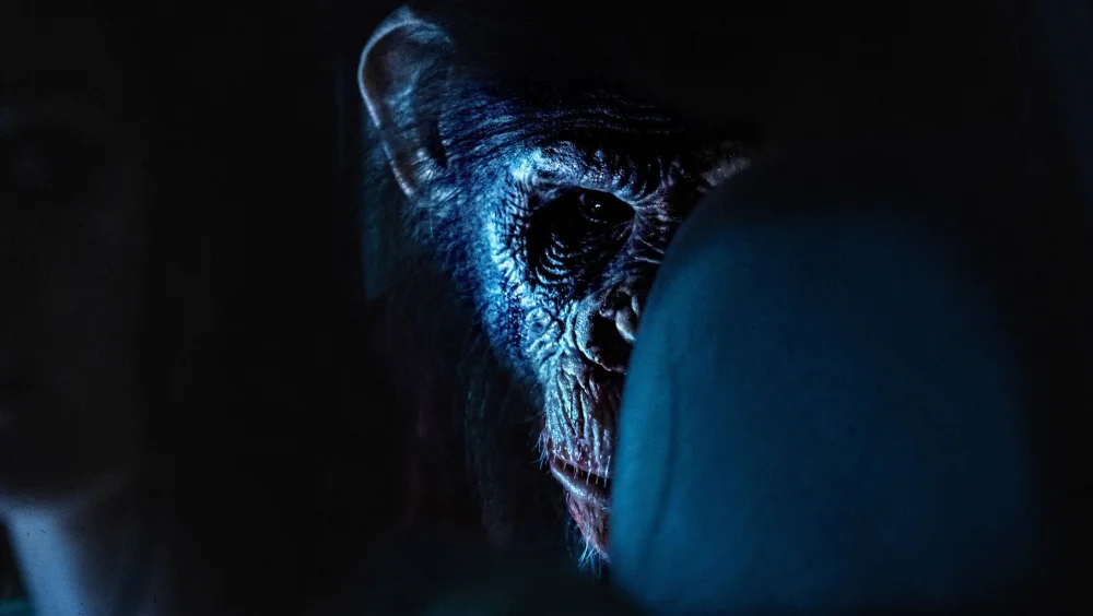 Primat - Primate