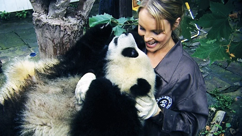 Bebek Panda - Sneezing Baby Panda - The Movie 