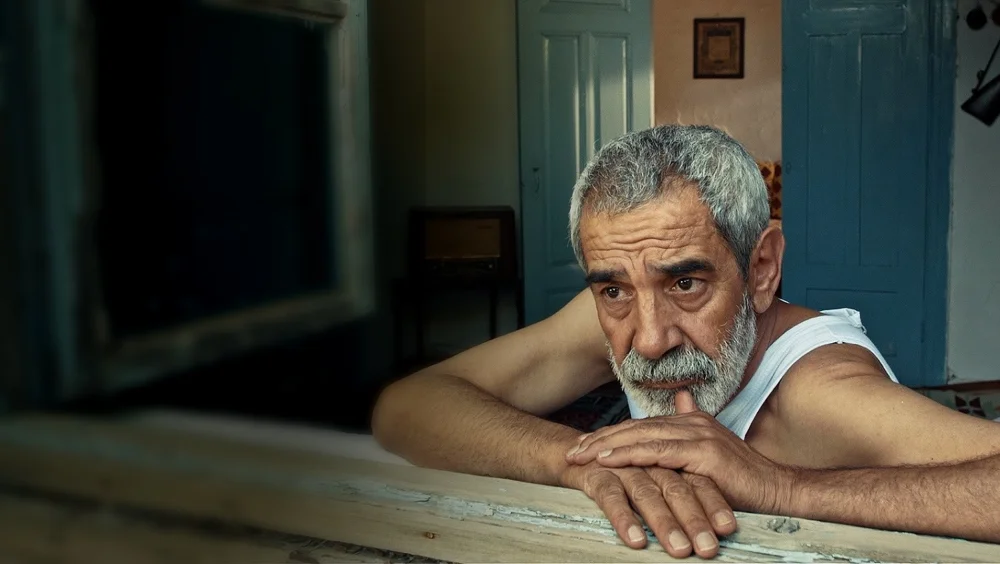 Vicdan Ağacı
