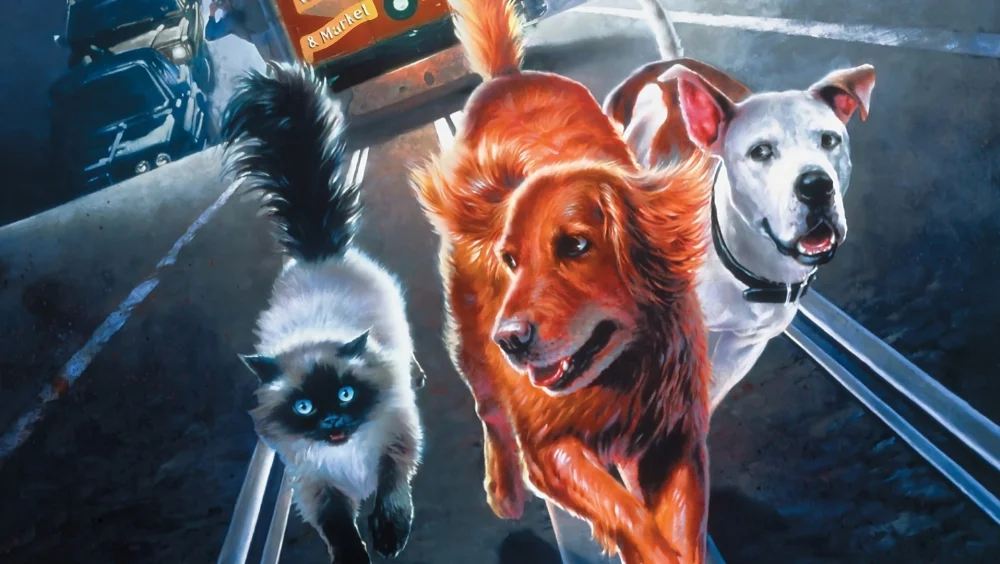owl-carousel-video-image