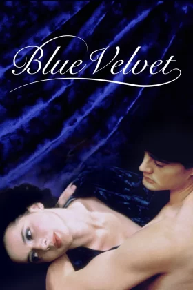 Mavi Kadife - Blue Velvet