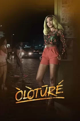 owl-carousel-video-image