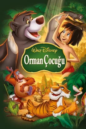 owl-carousel-video-image
