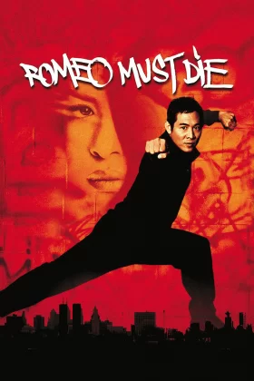 Romeo Ölmeli - Romeo Must Die