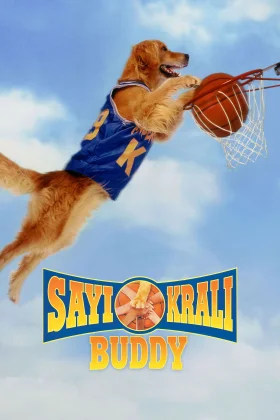 Sayı Kralı Buddy - Air Bud