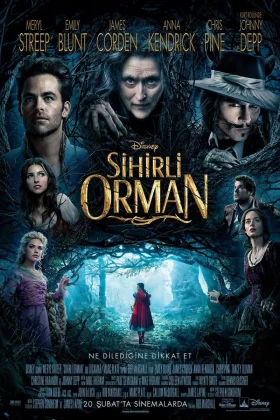 Sihirli Orman - Into the Woods