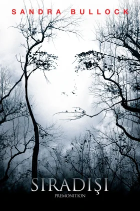 owl-carousel-video-image