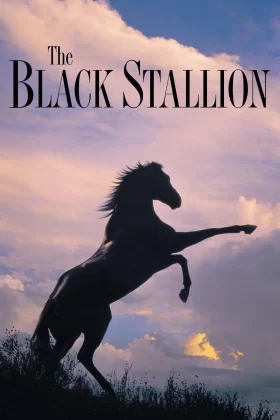 Siyah Kısrak - The Black Stallion