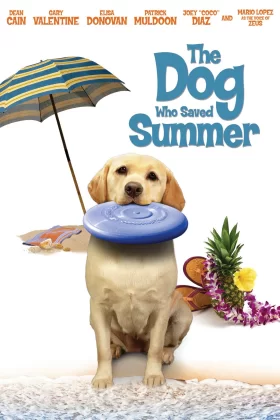 Yaz Köpeği - The Dog Who Saved Summer 